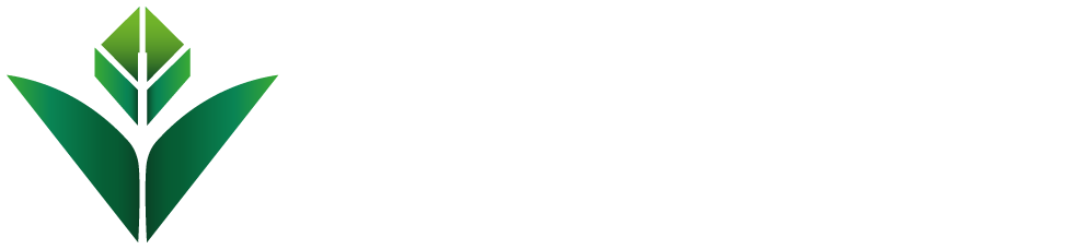 Zinsklar